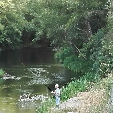 Pazo De *